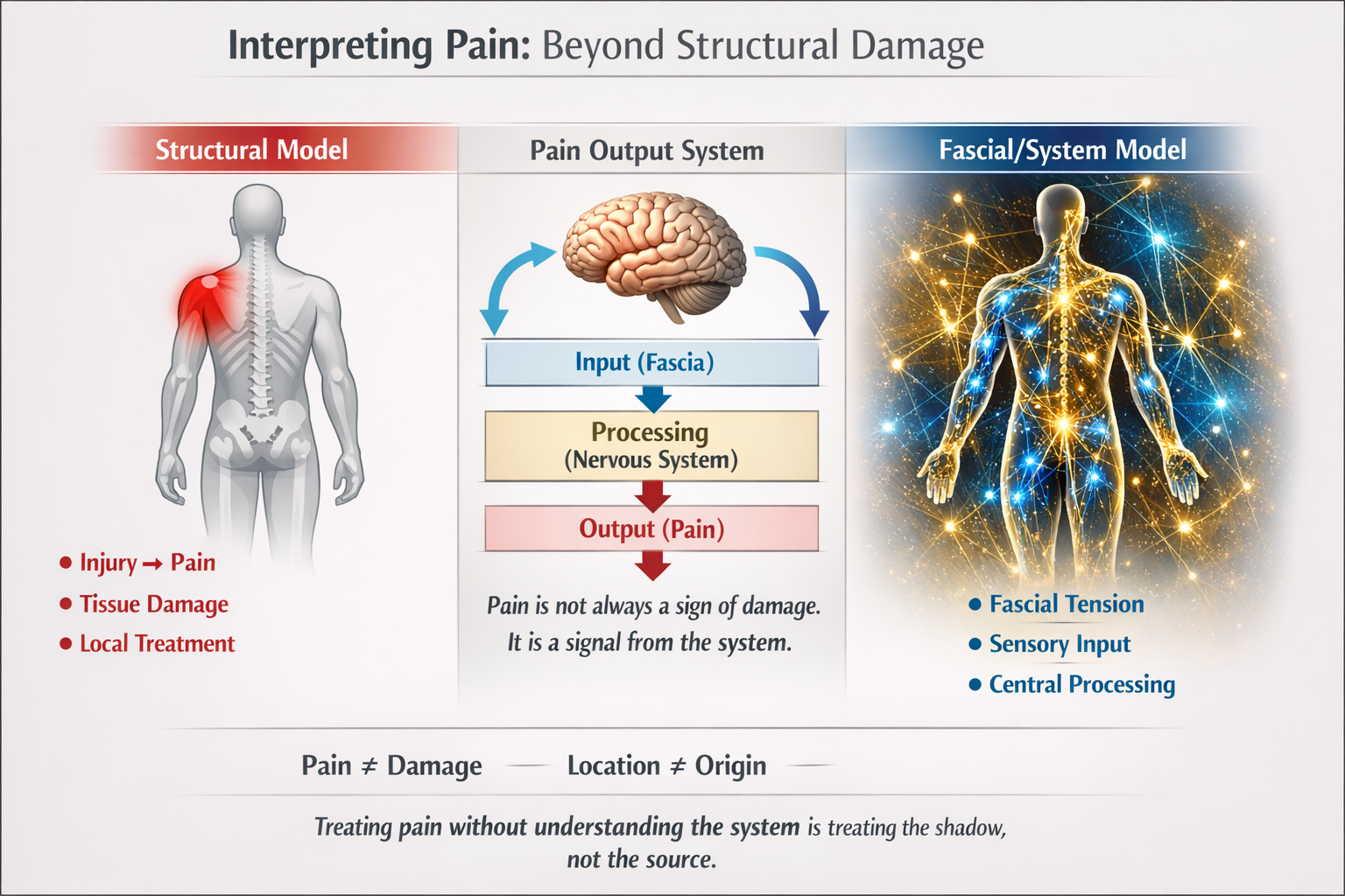Fasciapuncture Regulatory Model of Pain