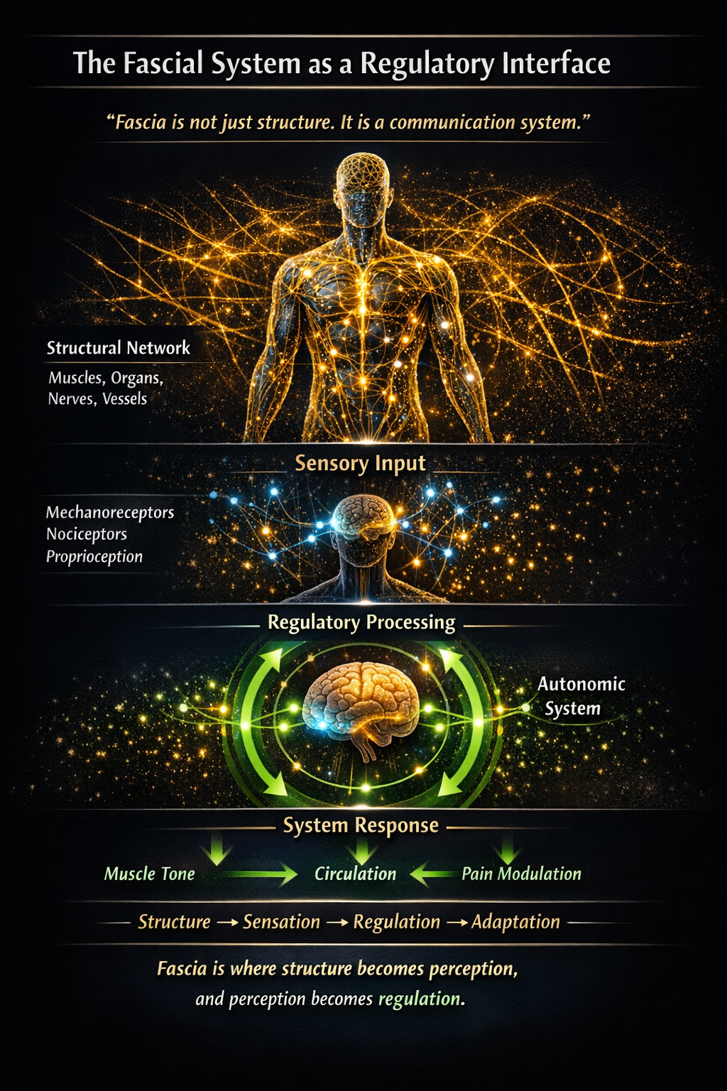 fascia as a sensory interface