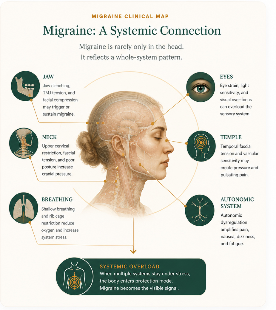 Migraine Clinical Map and System Connection